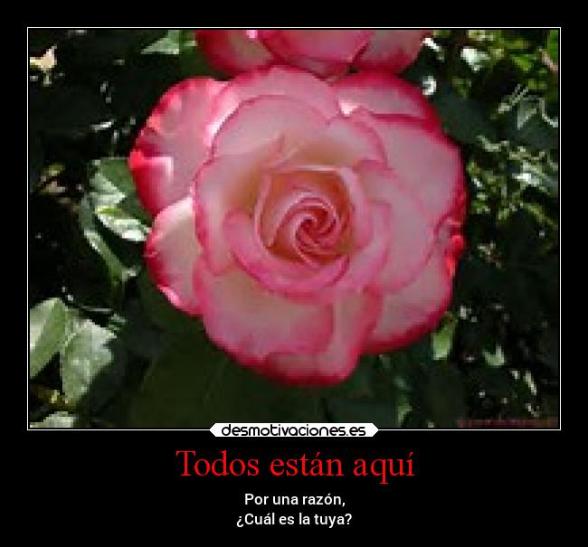 Todos están aquí -