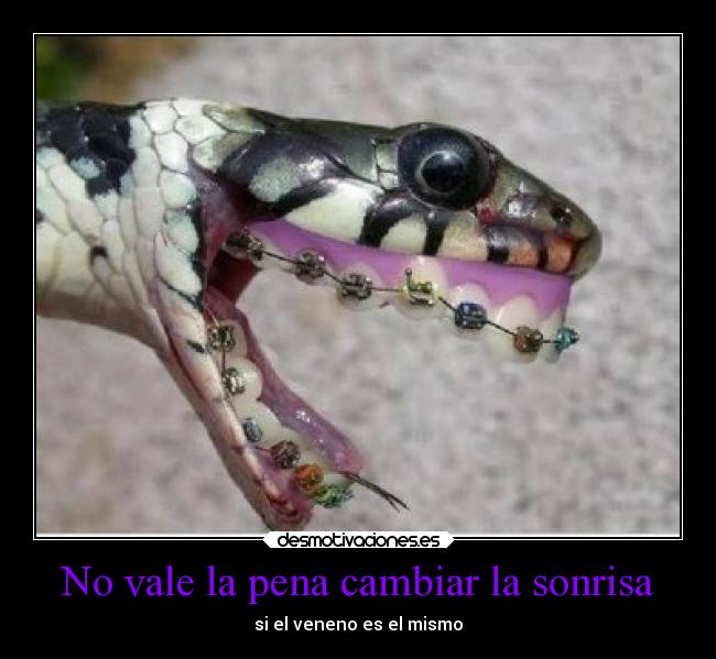 No vale la pena cambiar la sonrisa - si el veneno es el mismo