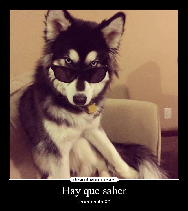 Hay que saber - tener estilo XD