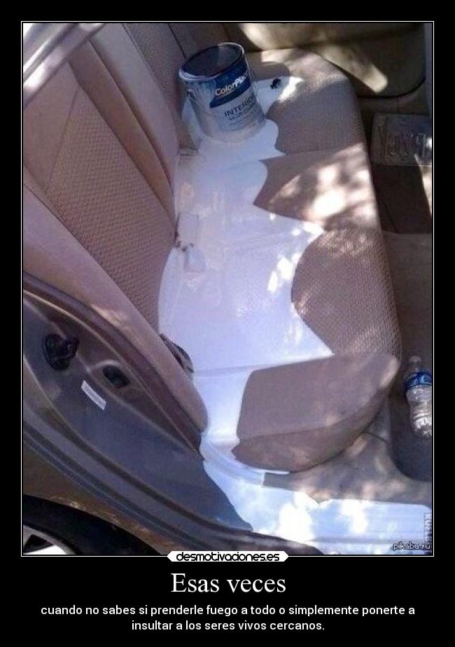 Esas veces - cuando no sabes si prenderle fuego a todo o simplemente ponerte a
insultar a los seres vivos cercanos.