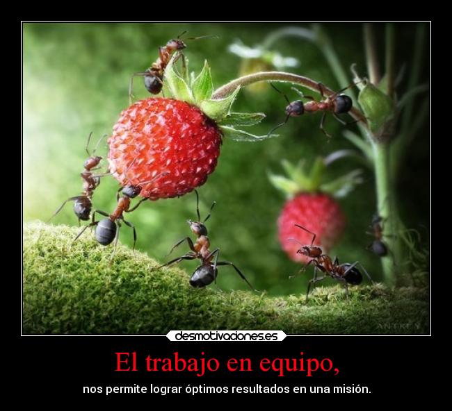 El trabajo en equipo, -