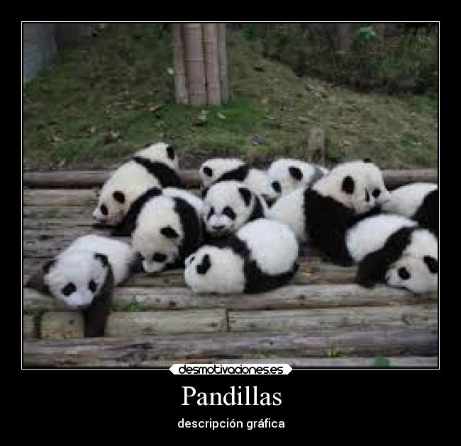 Pandillas -