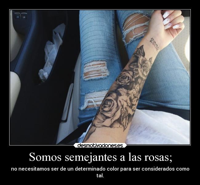 Somos semejantes a las rosas; - 