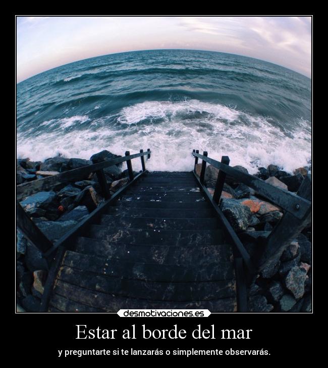 Estar al borde del mar - 