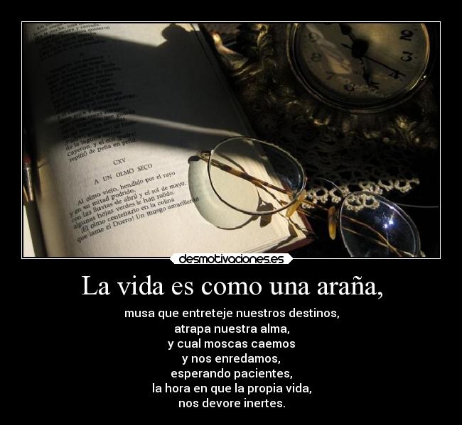 La vida es como una araña, - musa que entreteje nuestros destinos,
atrapa nuestra alma,
y cual moscas caemos
y nos enredamos,
esperando pacientes,
la hora en que la propia vida,
nos devore inertes.