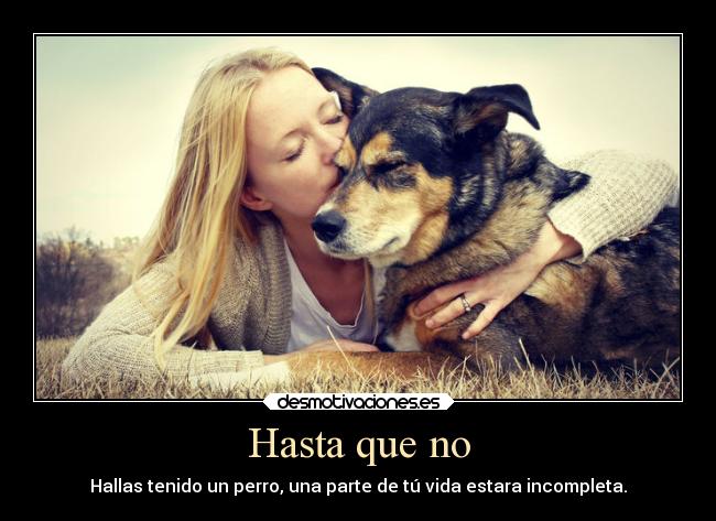 Hasta que no - Hallas tenido un perro, una parte de tú vida estara incompleta.
