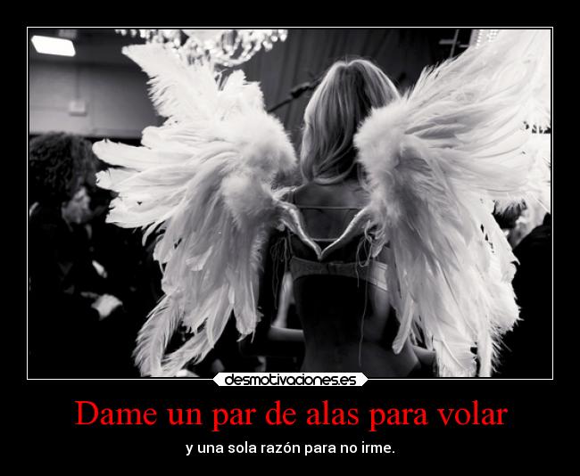 Dame un par de alas para volar - 