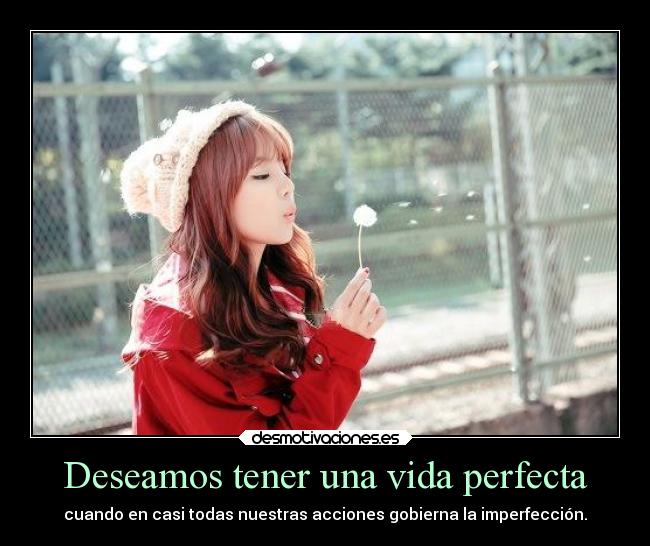 Deseamos tener una vida perfecta -