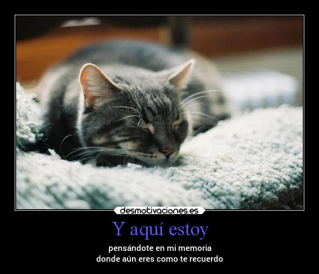 Y aquí estoy - pensándote en mi memoria
donde aún eres como te recuerdo