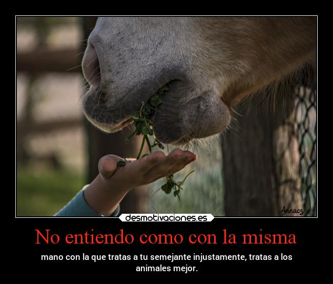 No entiendo como con la misma - 