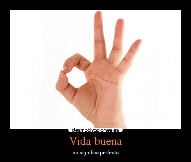 carteles vida vida desmotivaciones