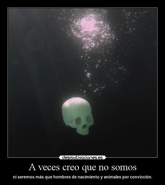 A veces creo que no somos -