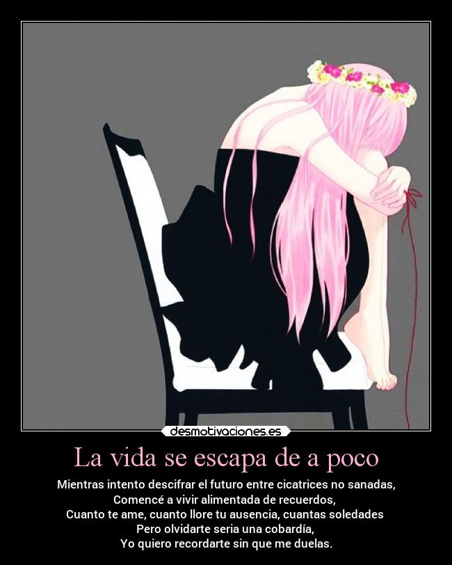 La vida se escapa de a poco - Mientras intento descifrar el futuro entre cicatrices no sanadas,
Comencé a vivir alimentada de recuerdos,
Cuanto te ame, cuanto llore tu ausencia, cuantas soledades
Pero olvidarte seria una cobardía,
Yo quiero recordarte sin que me duelas.