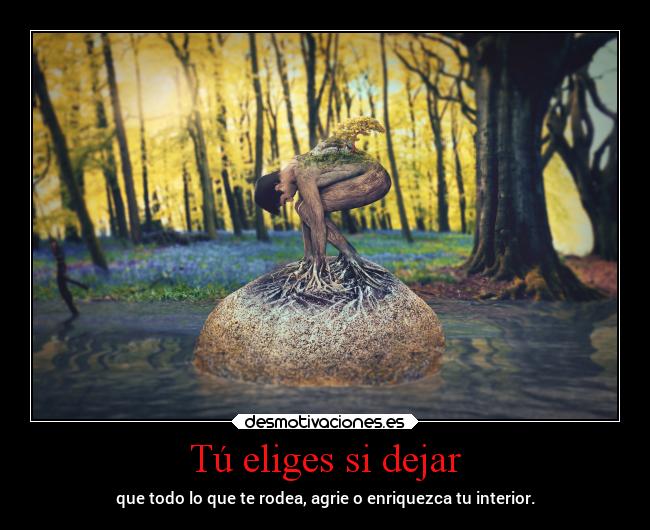 carteles vida entorno personas maldad desmotivaciones