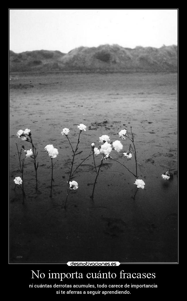 No importa cuánto fracases - 