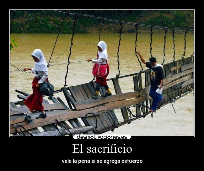 carteles vida frases escuela confianza ayuda desmotivaciones