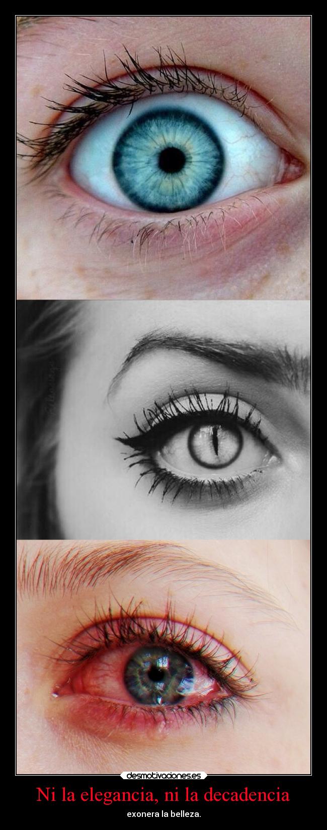 Ni la elegancia, ni la decadencia - exonera la belleza.