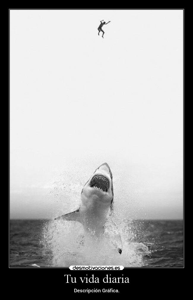 Tu vida diaria - 