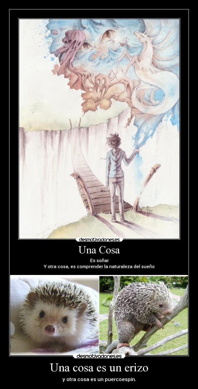Una cosa es un erizo - 