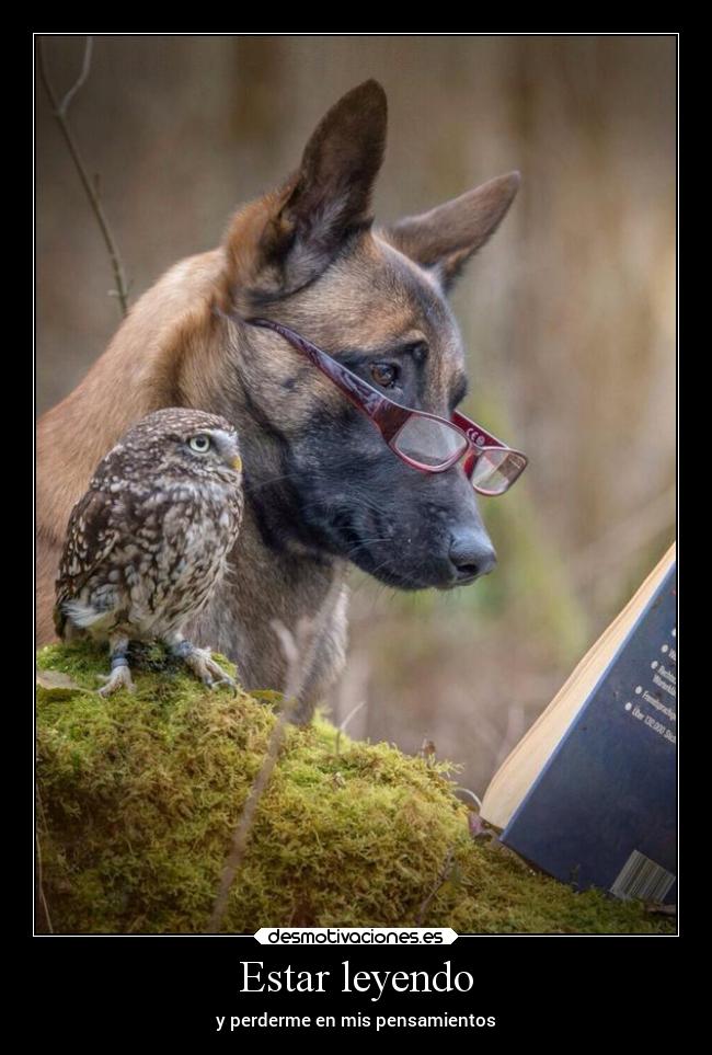 carteles vida literatura animales desmotivaciones