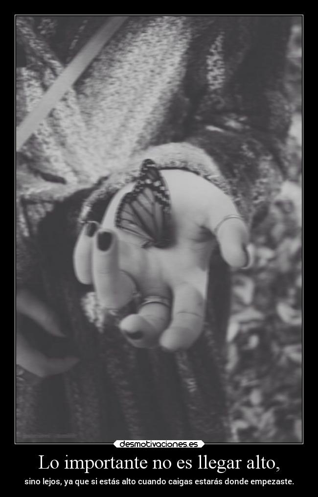 Lo importante no es llegar alto, - sino lejos, ya que si estás alto cuando caigas estarás donde empezaste.