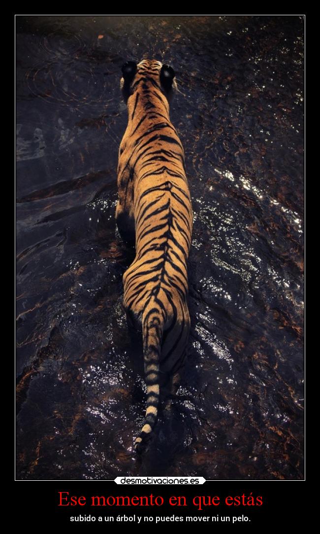 carteles vida naturaleza sololanaturalezacomprendeloqueellacrea belleza desmotivaciones