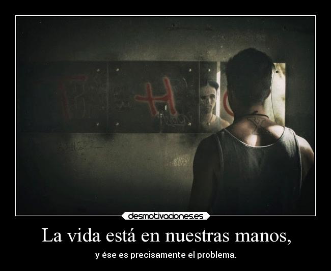 carteles vida vida neblinasoloeso desmoc3 creoquepierdoperolindaimagen desmotivaciones