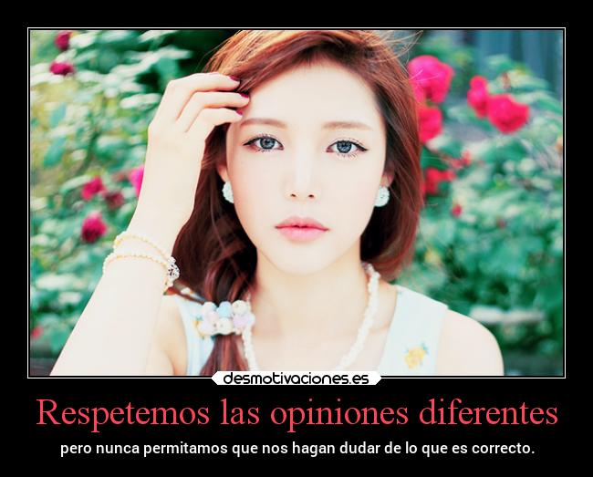 Respetemos las opiniones diferentes - 