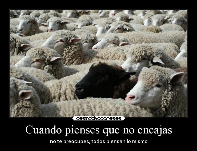 Cuando pienses que no encajas -