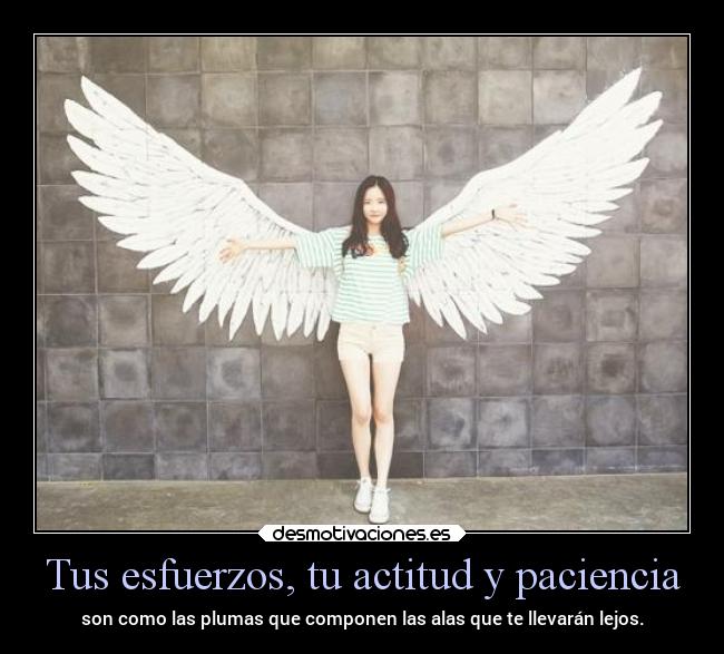 Tus esfuerzos, tu actitud y paciencia - son como las plumas que componen las alas que te llevarán lejos.