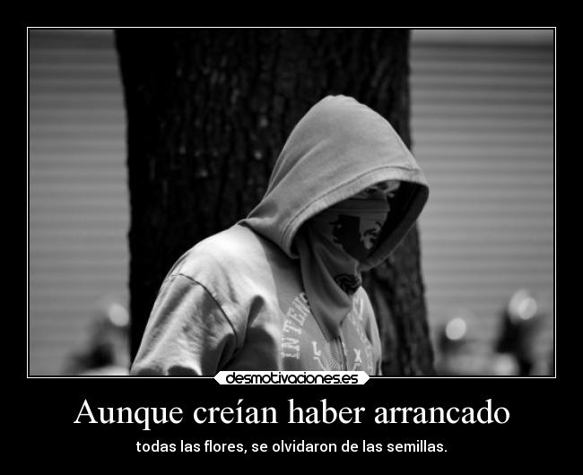 Aunque creían haber arrancado -