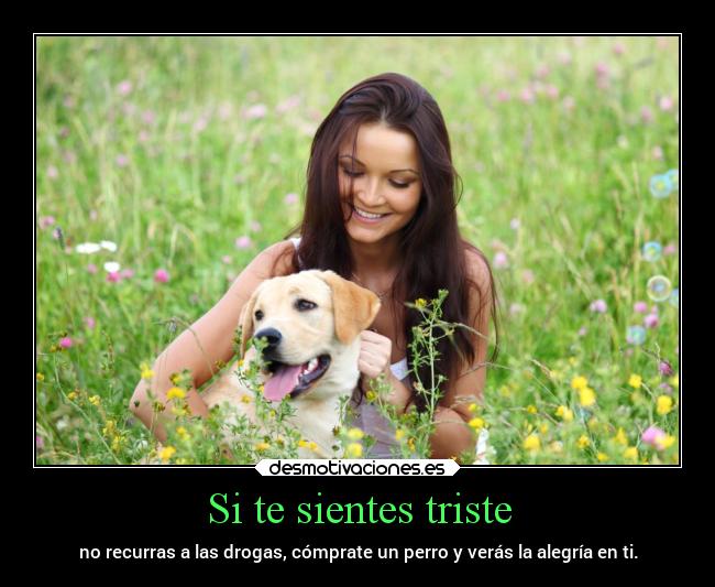 carteles vida sentimientos problemas pensamientos naturaleza motivaciones ayuda animales amor amistad amigos desmotivaciones