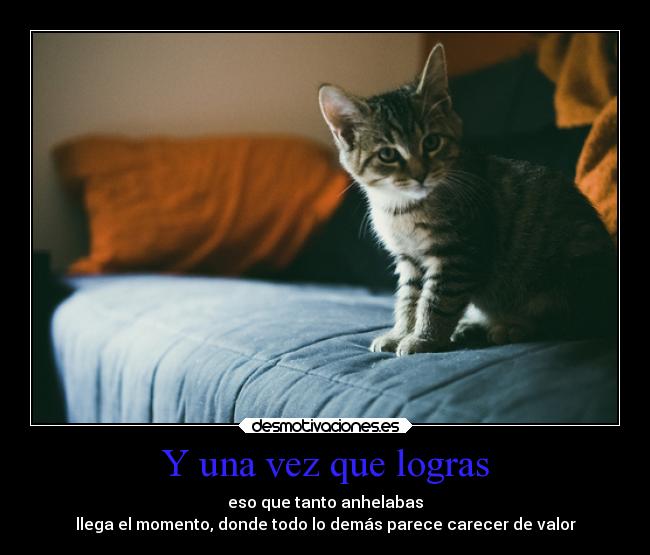 carteles vida siento desmotivaciones