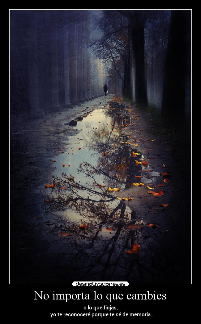 No importa lo que cambies -