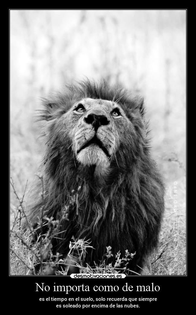 No importa como de malo -