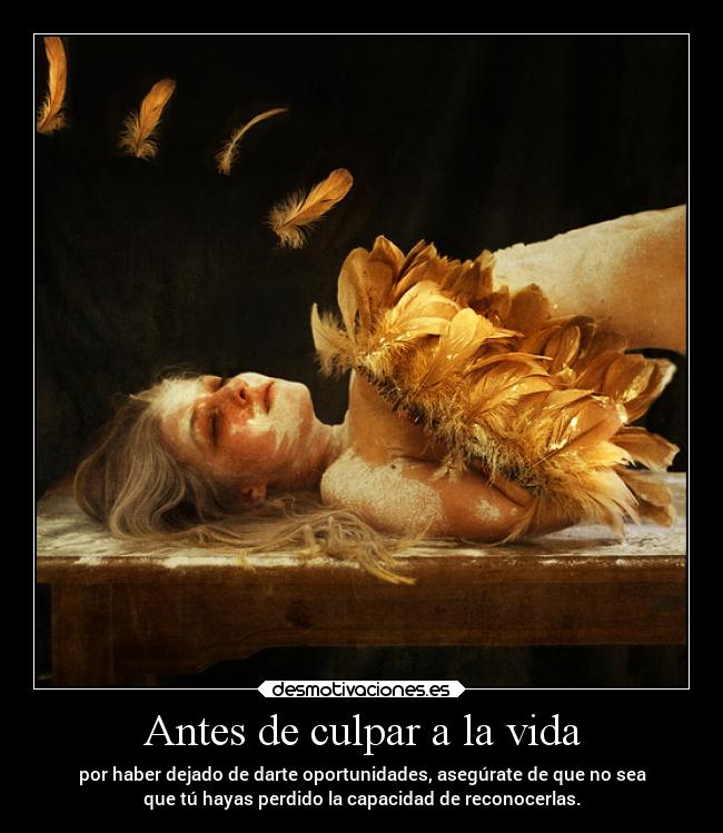 Antes de culpar a la vida - por haber dejado de darte oportunidades, asegúrate de que no sea
que tú hayas perdido la capacidad de reconocerlas.