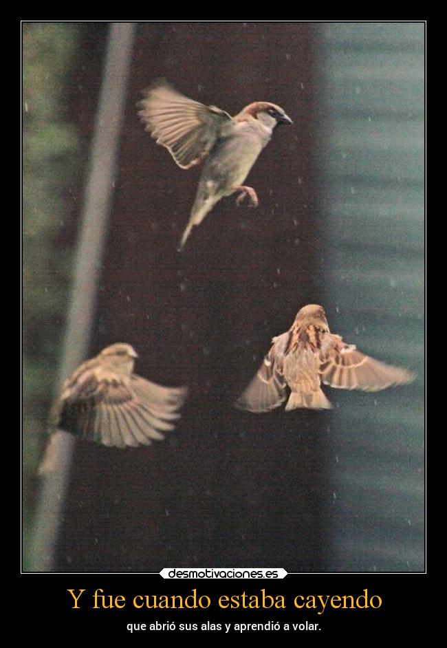 Y fue cuando estaba cayendo - que abrió sus alas y aprendió a volar.