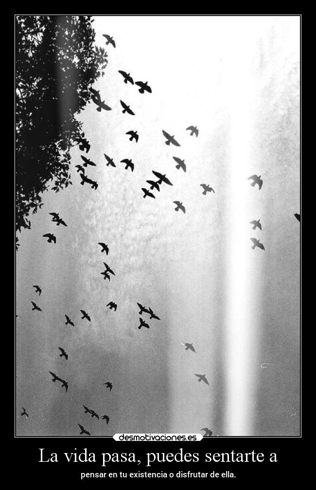 La vida pasa, puedes sentarte a - pensar en tu existencia o disfrutar de ella.