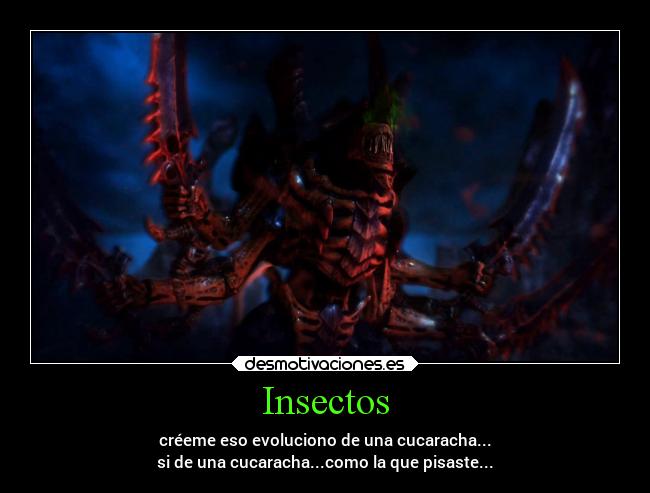 Insectos - créeme eso evoluciono de una cucaracha...
si de una cucaracha...como la que pisaste...