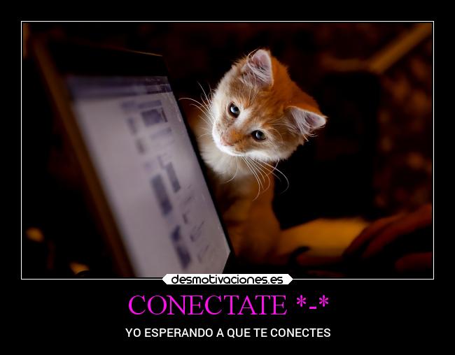 CONECTATE *-* -