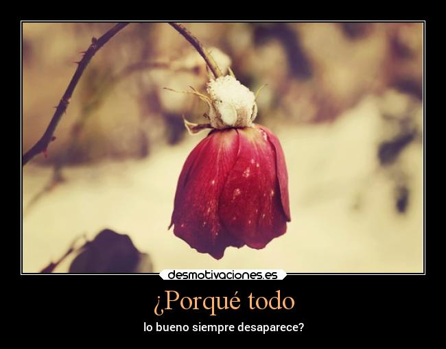 ¿Porqué todo -