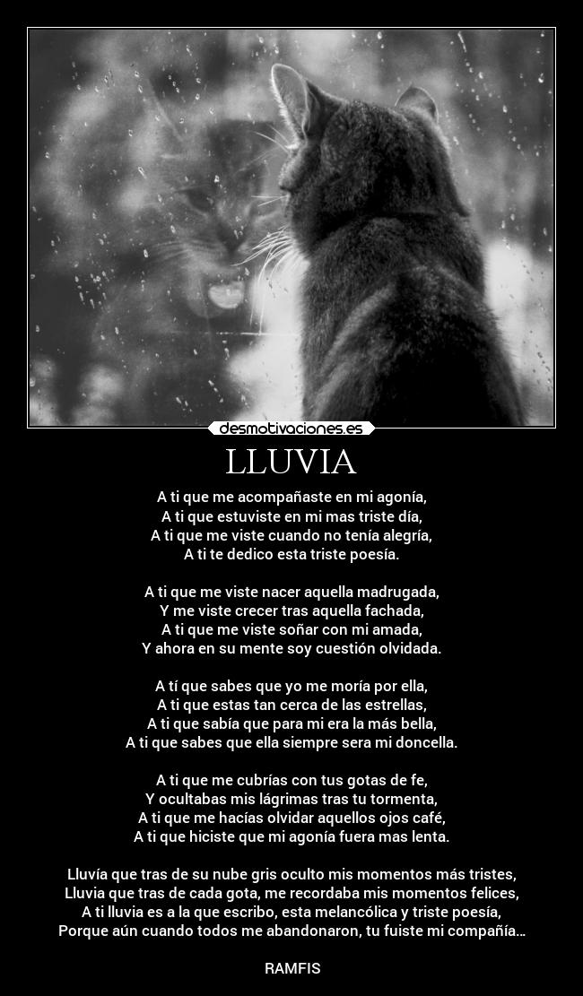LLUVIA - A ti que me acompañaste en mi agonía,
A ti que estuviste en mi mas triste día,
A ti que me viste cuando no tenía alegría,
A ti te dedico esta triste poesía.
A ti que me viste nacer aquella madrugada,
Y me viste crecer tras aquella fachada,
A ti que me viste soñar con mi amada,
Y ahora en su mente soy cuestión olvidada.
A tí que sabes que yo me moría por ella,
A ti que estas tan cerca de las estrellas,
A ti que sabía que para mi era la más bella,
A ti que sabes que ella siempre sera mi doncella.
A ti que me cubrías con tus gotas de fe,
Y ocultabas mis lágrimas tras tu tormenta,
A ti que me hacías olvidar aquellos ojos café,
A ti que hiciste que mi agonía fuera mas lenta.
Lluvía que tras de su nube gris oculto mis momentos más tristes,
Lluvia que tras de cada gota, me recordaba mis momentos felices,
A ti lluvia es a la que escribo, esta melancólica y triste poesía,
Porque aún cuando todos me abandonaron, tu fuiste mi compañía…
RAMFIS