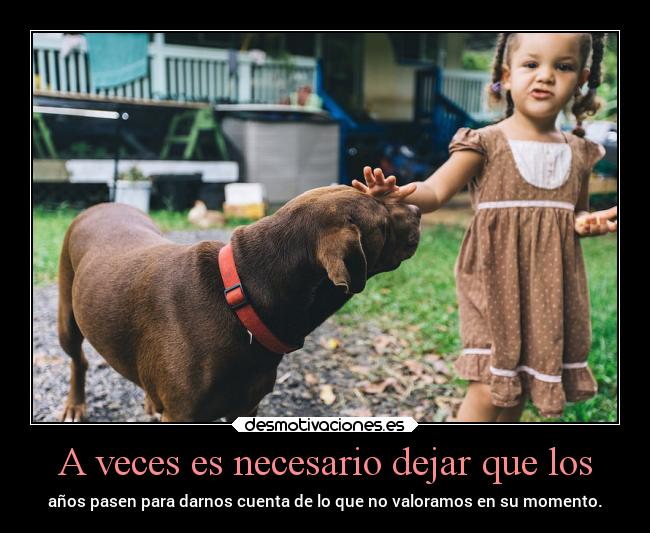 A veces es necesario dejar que los - 