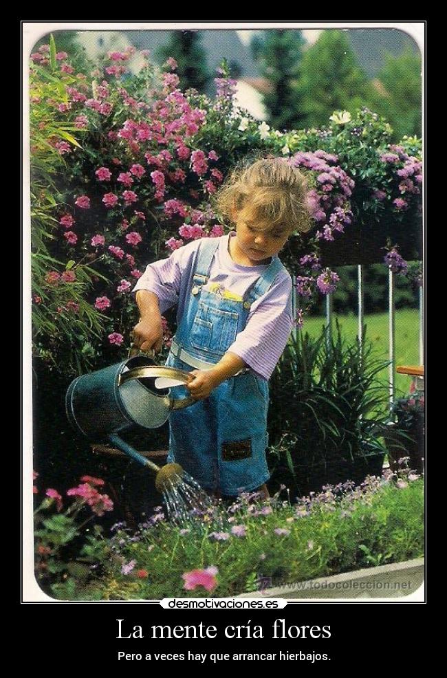 La mente cría flores - Pero a veces hay que arrancar hierbajos.
