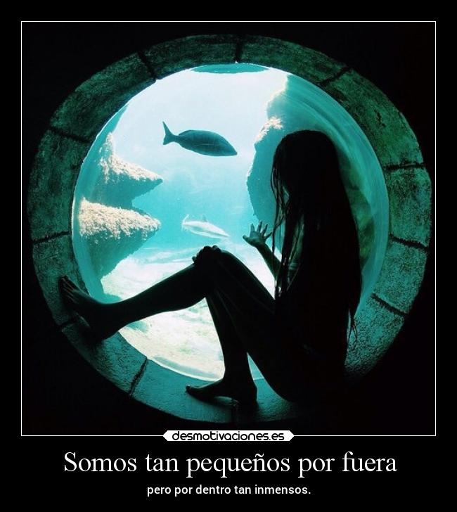 Somos tan pequeños por fuera - 