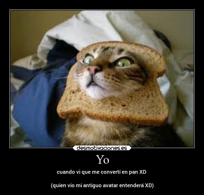 carteles alma pan fuck logic soy desmotivaciones