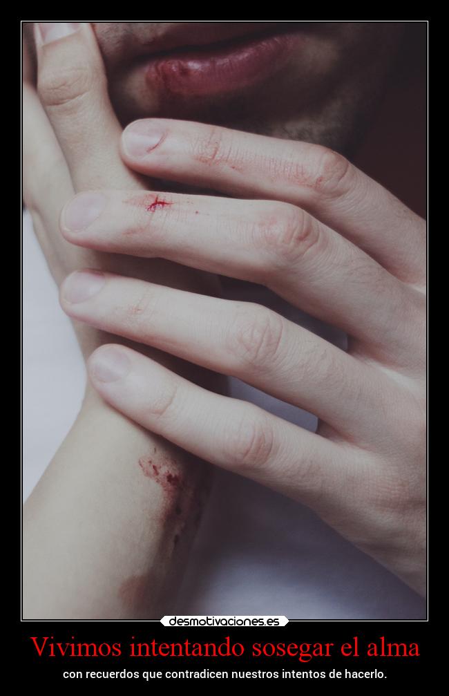 Vivimos intentando sosegar el alma - con recuerdos que contradicen nuestros intentos de hacerlo.