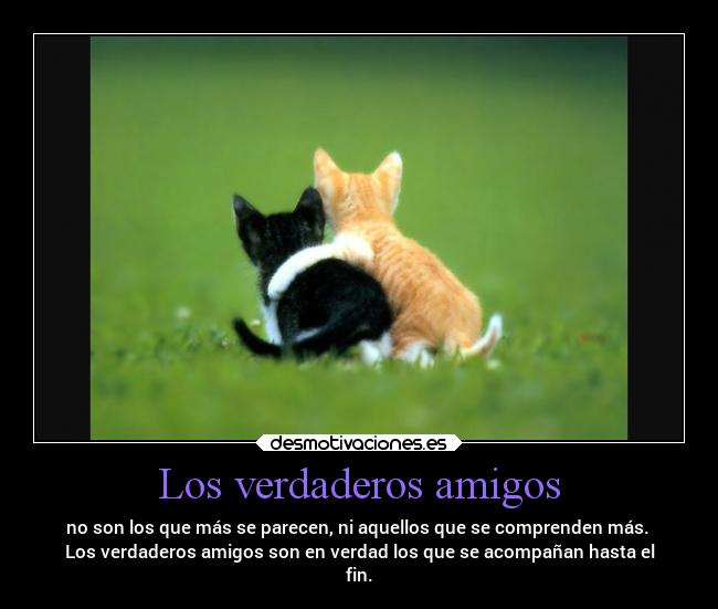 Los verdaderos amigos -