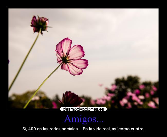 Amigos... - Si, 400 en las redes sociales... En la vida real, así como cuatro.