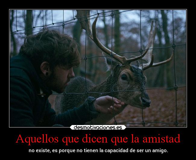 Aquellos que dicen que la amistad -